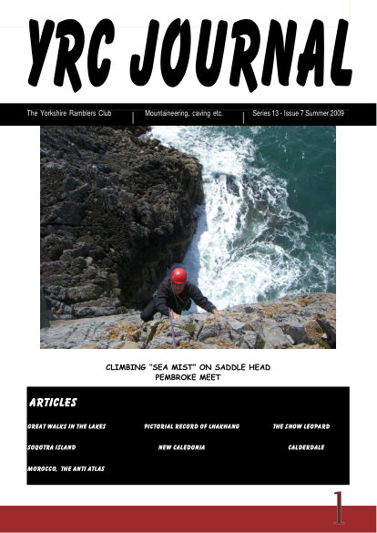 YRCJ 2009; 13(7) cover
